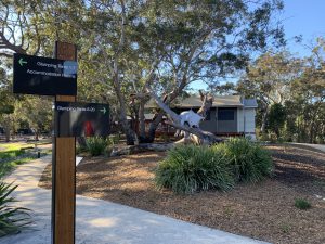 Port Stephens Koala Sanctuary