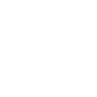presentation