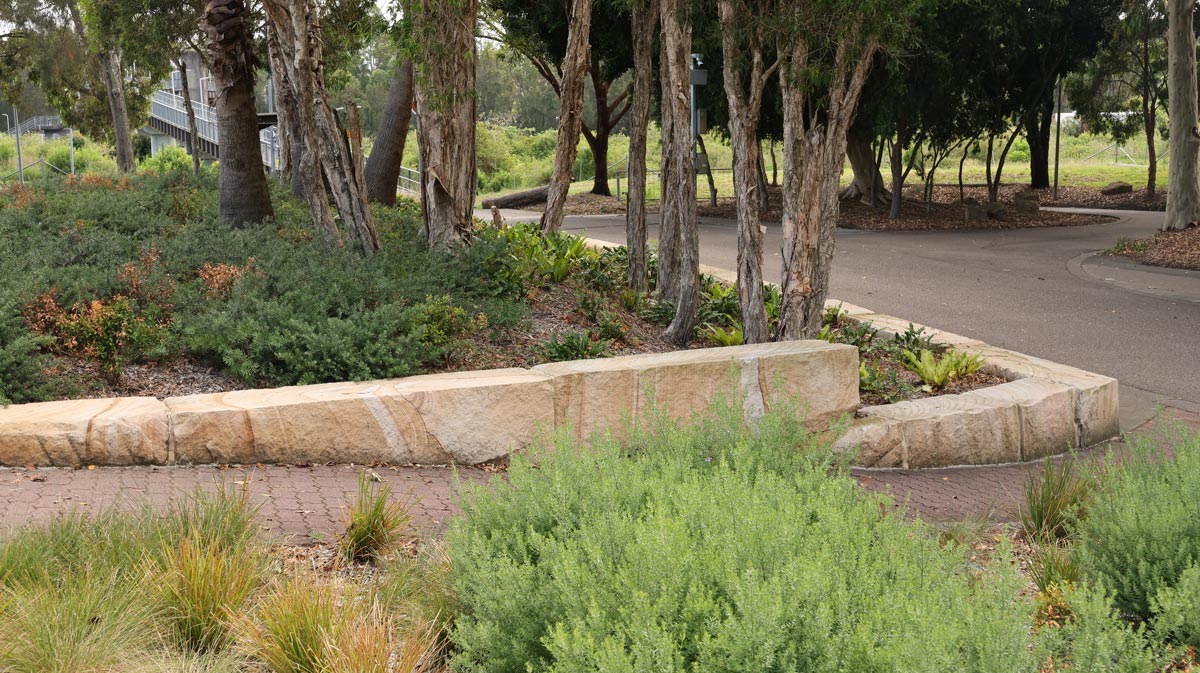 University of Newcastle